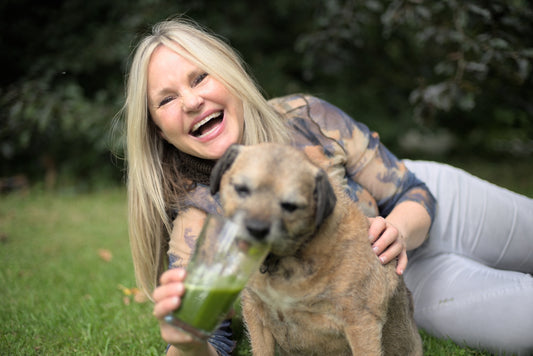 Plej din hund med hvedegræssaft
