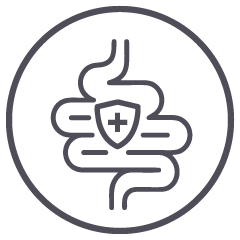Gut Health