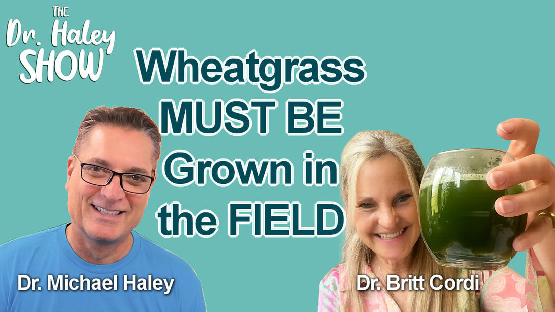 Podcast with Dr Harley: Wheatgrass