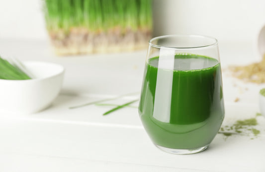 Wheatgrass vs. Wheat: Unpacking the Differences 🌾🌱