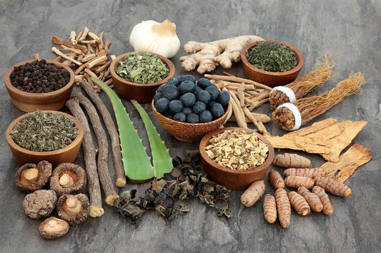 Adaptogens and your body - Britt's Superfoods