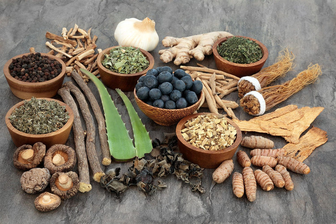 Adaptogens and your body