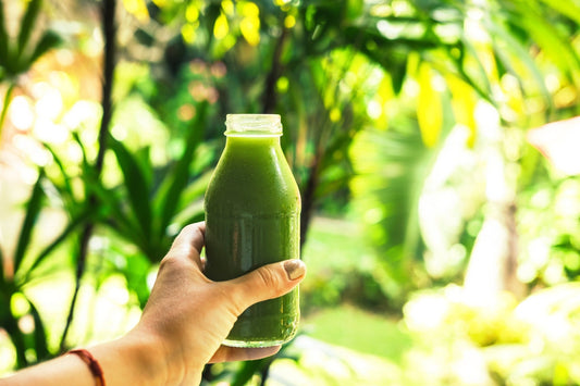 Can you drink wheatgrass juice in the summer? - Britt's Superfoods