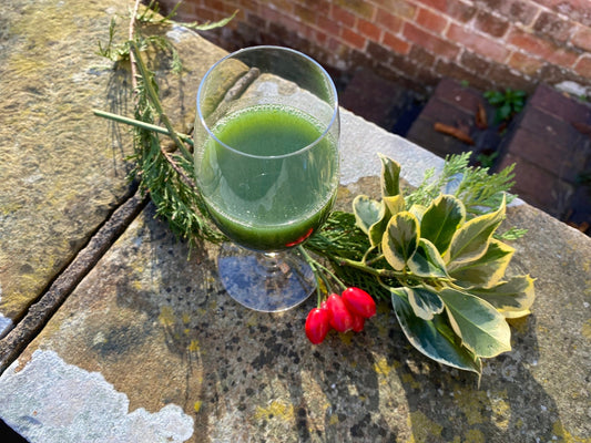 Christmas wheatgrass juice - Britt's Superfoods