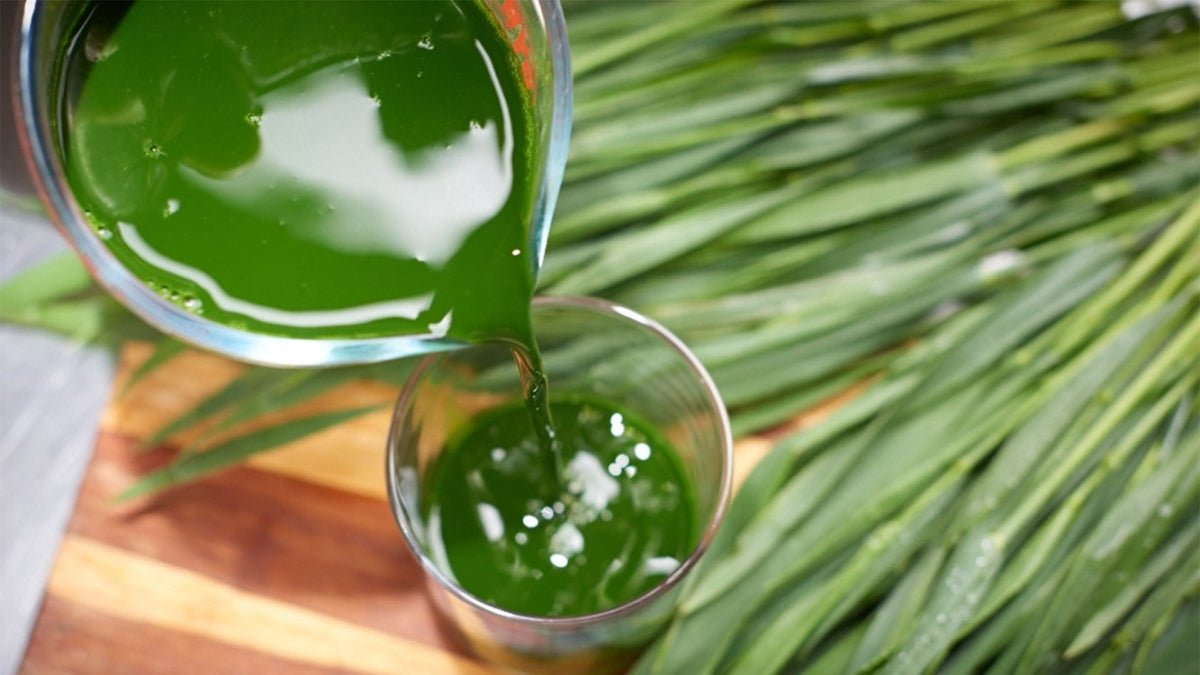 What are the top benefits of juicing?