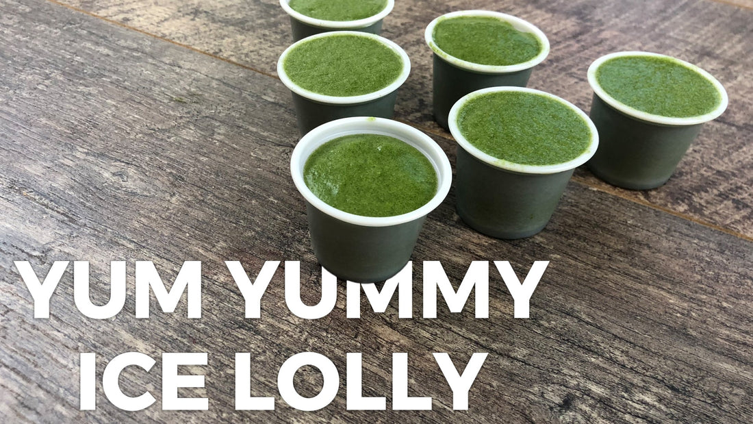 Yum Yummy Ice Lolly Recipe - Britt's Superfoods