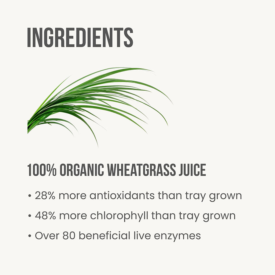 Wheatgrass Juice New Shop Britt's Superfoods 